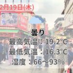台北の天気と服装（八里老街）2026年2月19日（木）